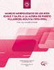 Morphological Management of the Rivers Ichilo and Sajta near Puerto Villarroel-Bolivia (1995-1998).